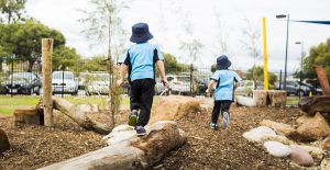 Endeavour Schools Primary All Abilities Nature Discovery Playscape