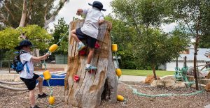 Freshwater Bay Primary School Claremont Nature Based Playground Climbing Stump